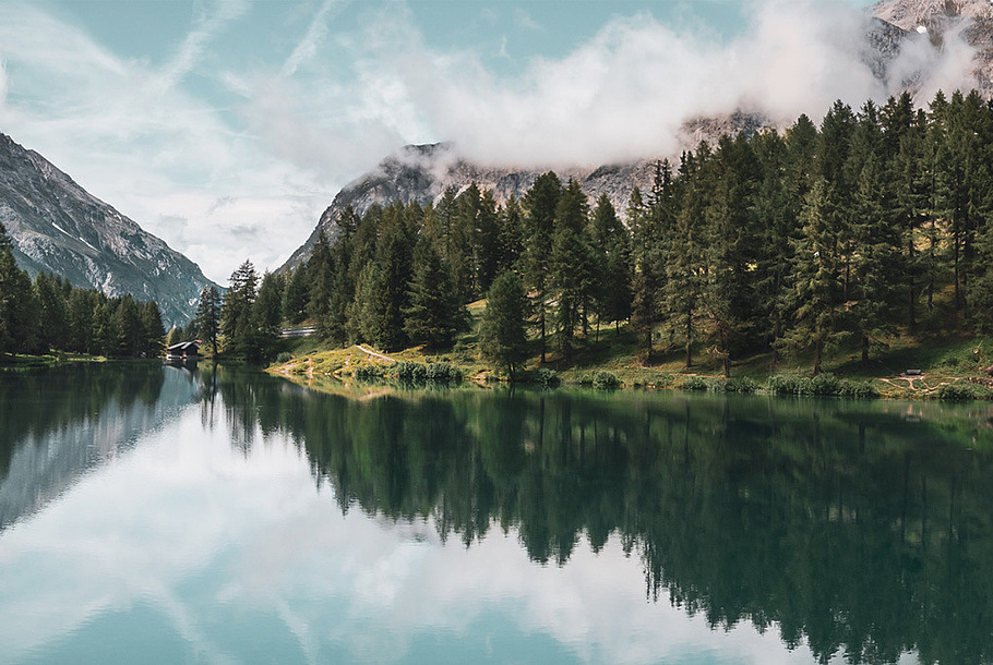 Nature, a lake surrounded by trees.